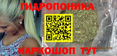 гидропоника Ипатово