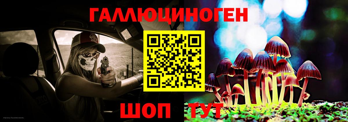 Псилоцибиновые грибы мицелий Видное